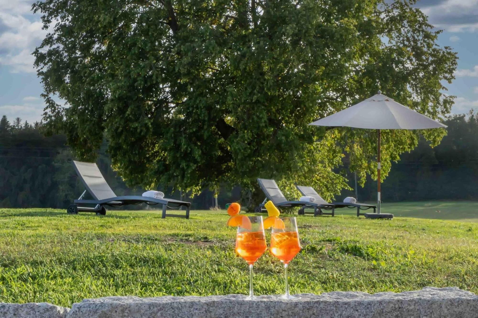Wellnesshotel Sonnenhof & Sonnhalde Ühlingen-Birkendorf Exteriér fotografie